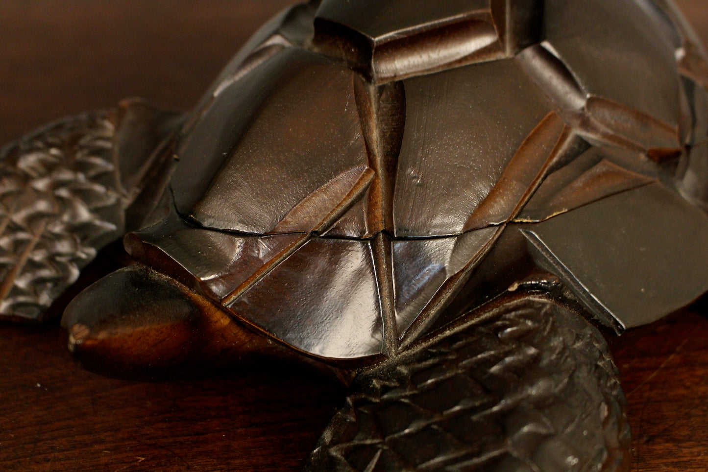 Carved Secretive Turtle