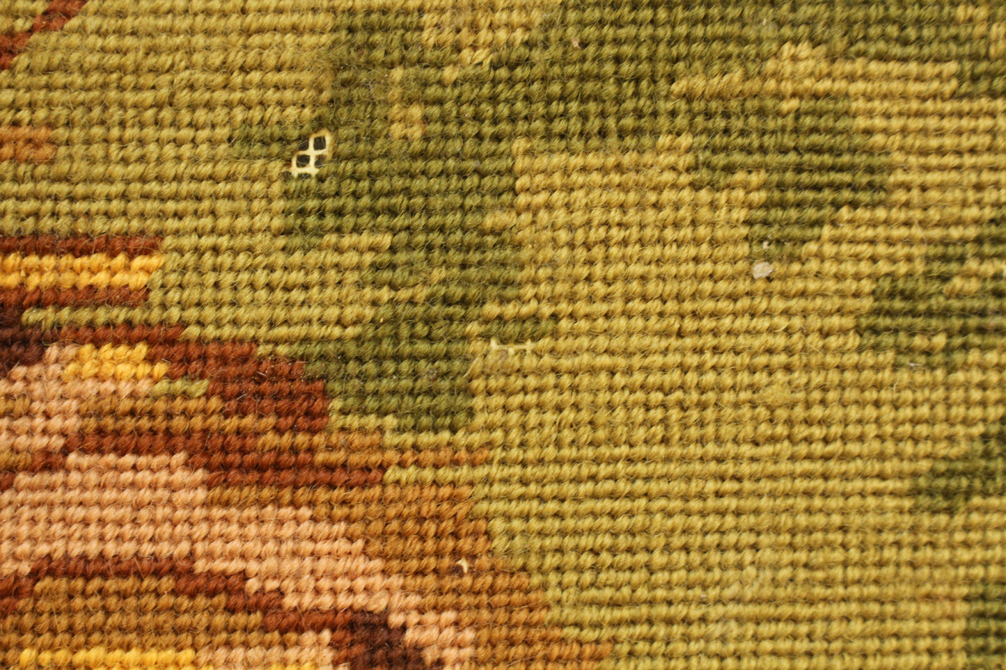 "Majestic Lions" Needlepoint Art