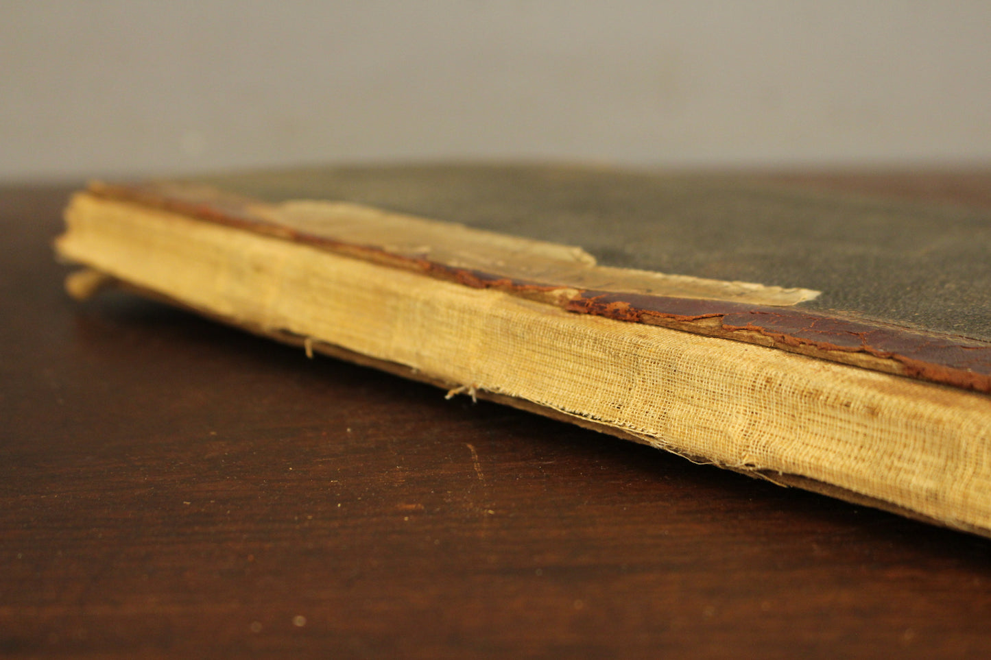 "War Pictures November 1917" Scrapbook