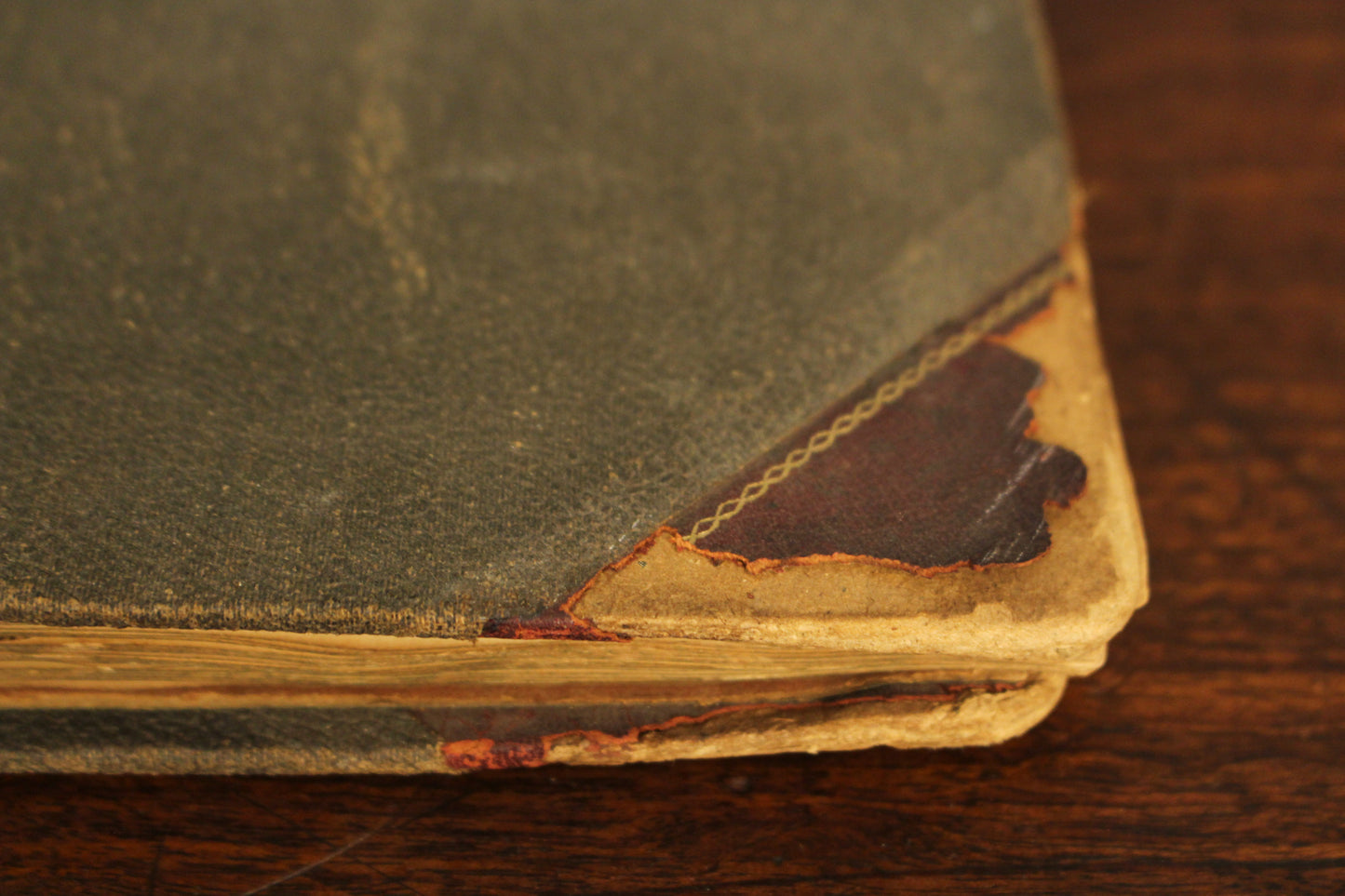 "War Pictures November 1917" Scrapbook