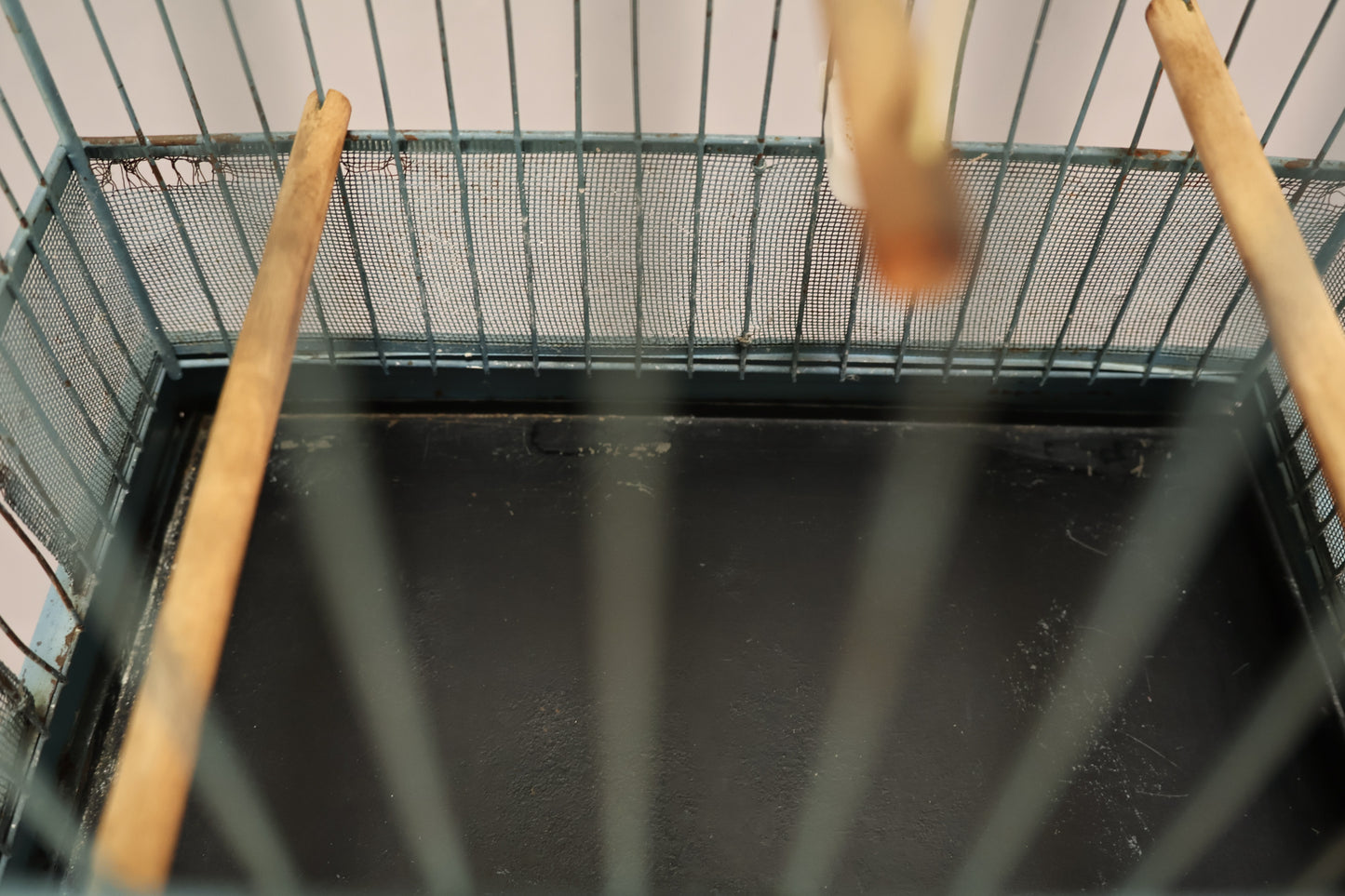 Blue Crown Art Deco Standing Bird Cage - ONLINE ONLY