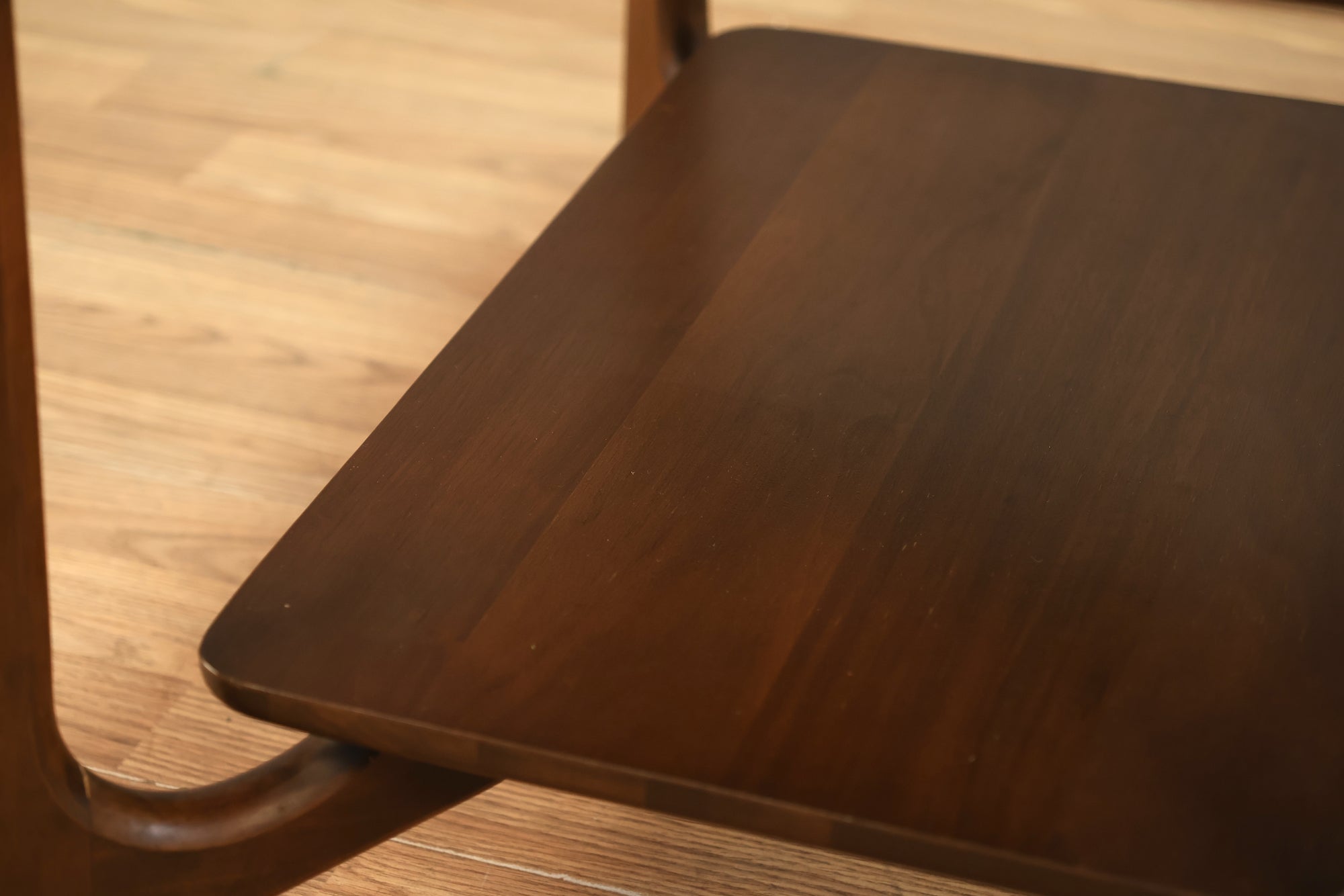 Mid Century Walnut 2-Door Record Cabinet – Furnish Green