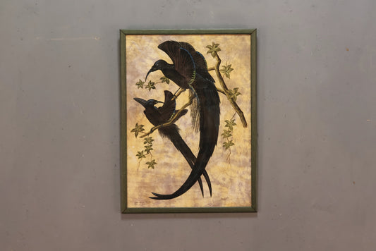 "Black Sicklebill" Silk Painting