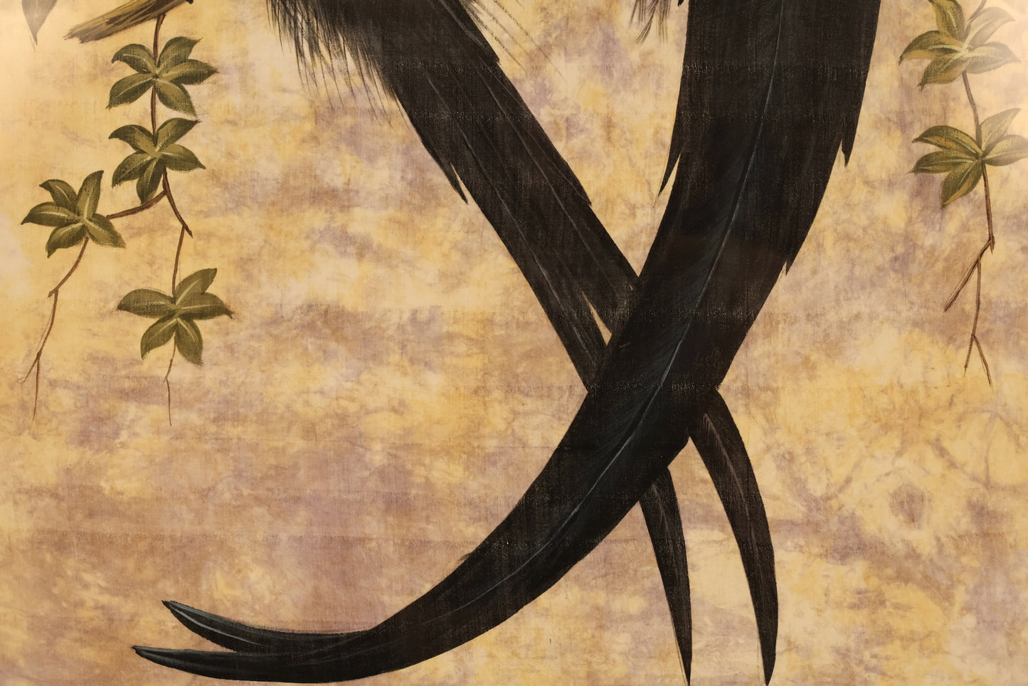 "Black Sicklebill" Silk Painting - ONLINE ONLY