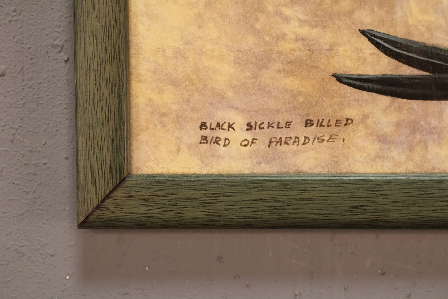 "Black Sicklebill" Silk Painting - ONLINE ONLY