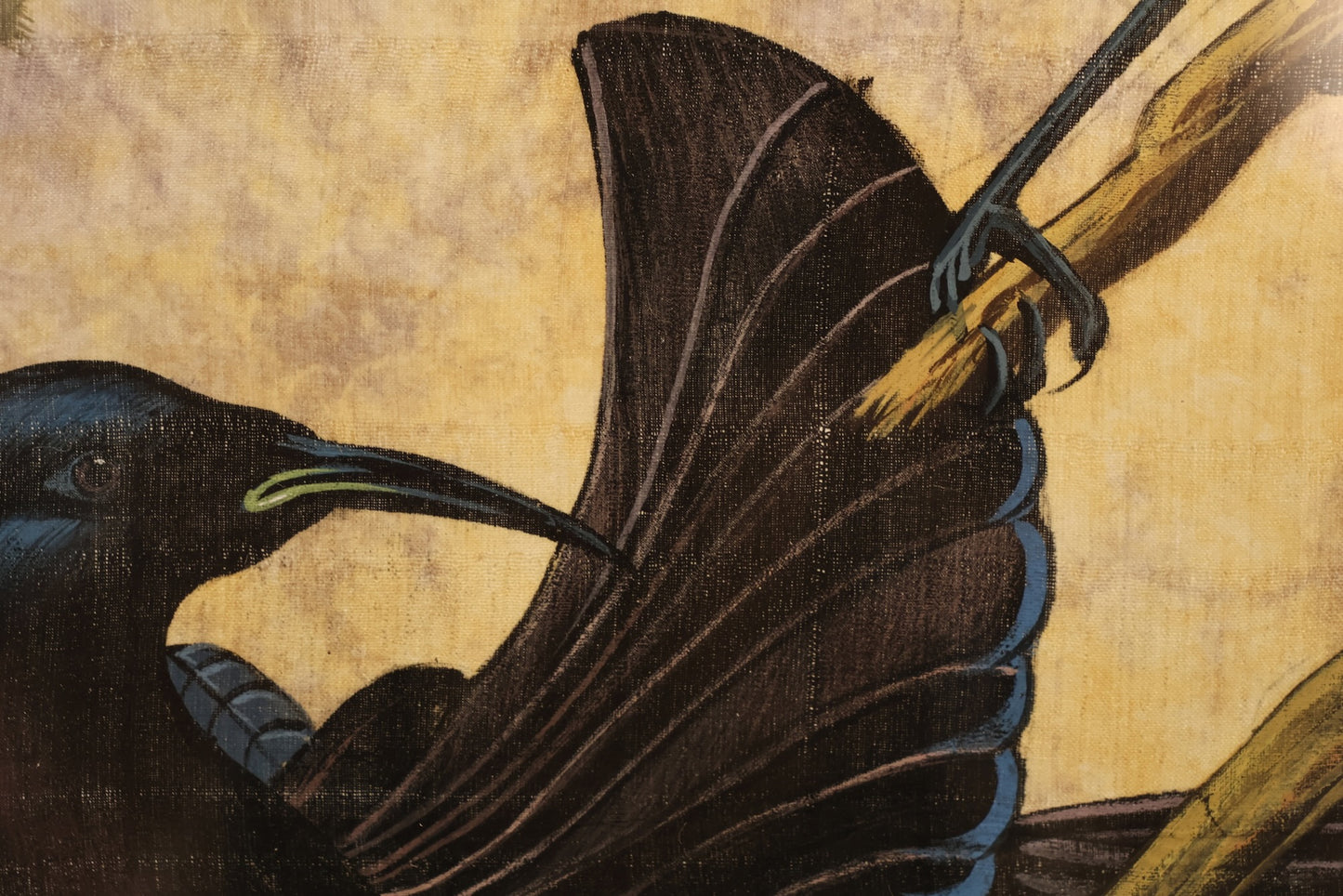 "Black Sicklebill" Silk Painting - ONLINE ONLY