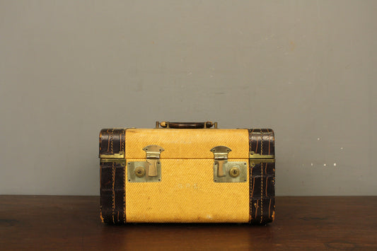 Honey Bee Mirrored Train Case